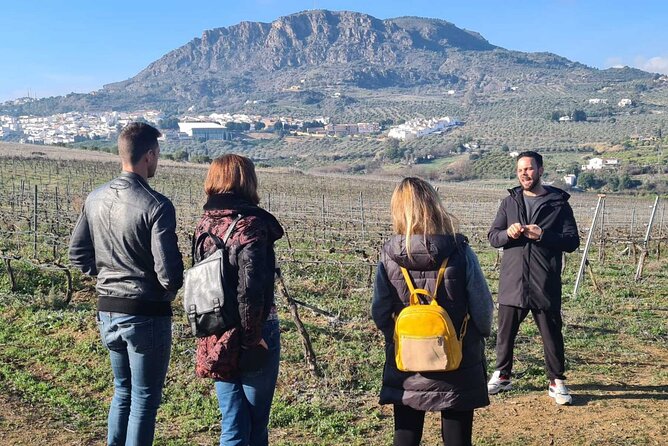 Malaga Organic Vineyard and Winery Six Wines Tapas and Transfer - Who should book this vineyard experience