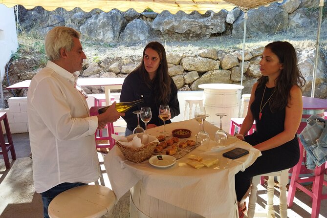 Malaga Organic Vineyard and Winery Six Wines Tapas and Transfer - Should you book it?