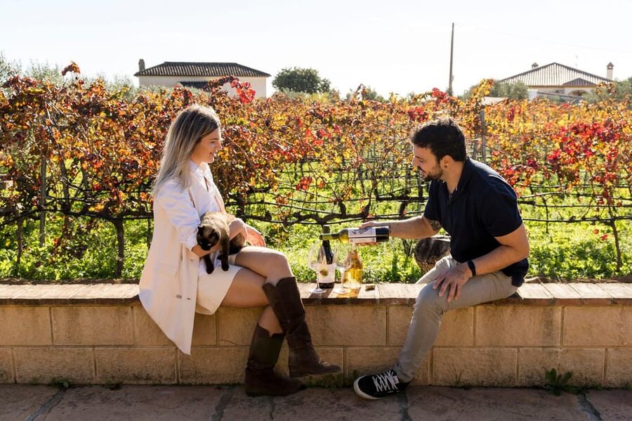 Malaga: Organic Vineyard Tour with 6 Wines, Tapas & Transfer - Key points to know before you book