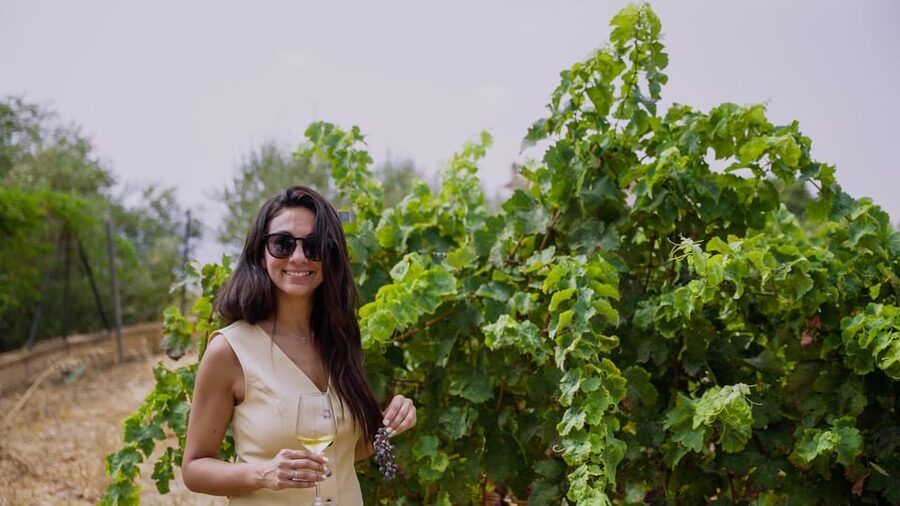 Malaga: Organic Vineyard Tour with 6 Wines, Tapas & Transfer - From Málaga to the hills near Mijas