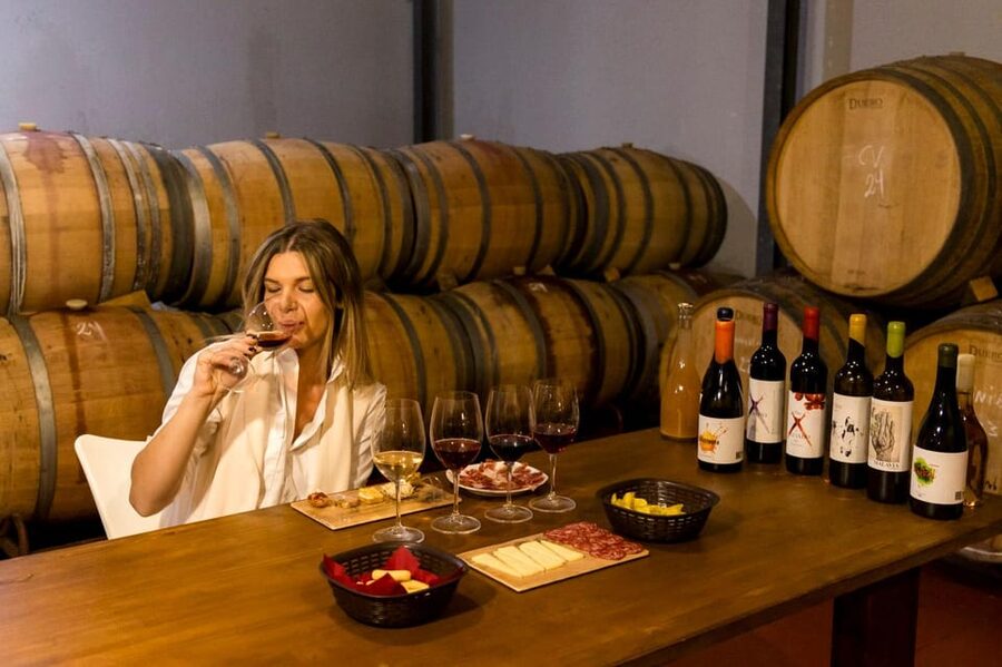 Malaga: Organic Vineyard Tour with 6 Wines, Tapas & Transfer - Inside Antonio’s garage winery