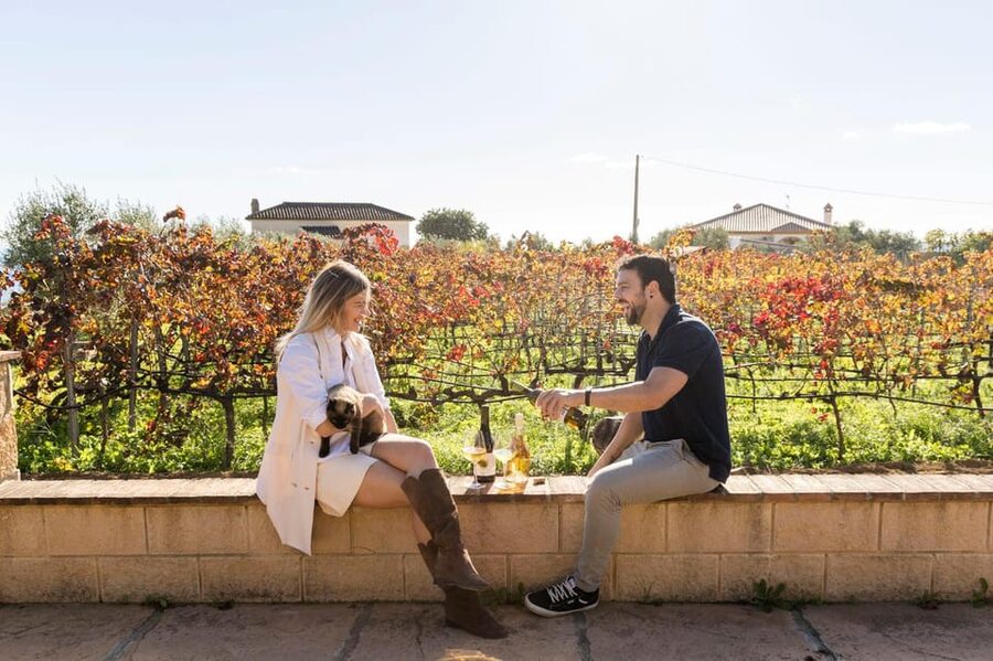 Malaga: Organic Vineyard Tour with 6 Wines, Tapas & Transfer - Six wines, generous pours, and a few surprises