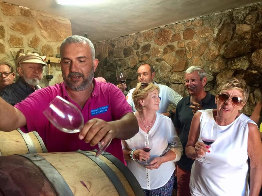 Malaga: Organic Vineyard Tour with 6 Wines, Tapas & Transfer - Who should book this Malaga wine experience?