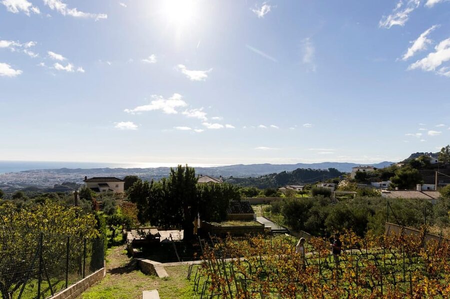 Malaga: Organic Vineyard Tour with 6 Wines, Tapas & Transfer - FAQ