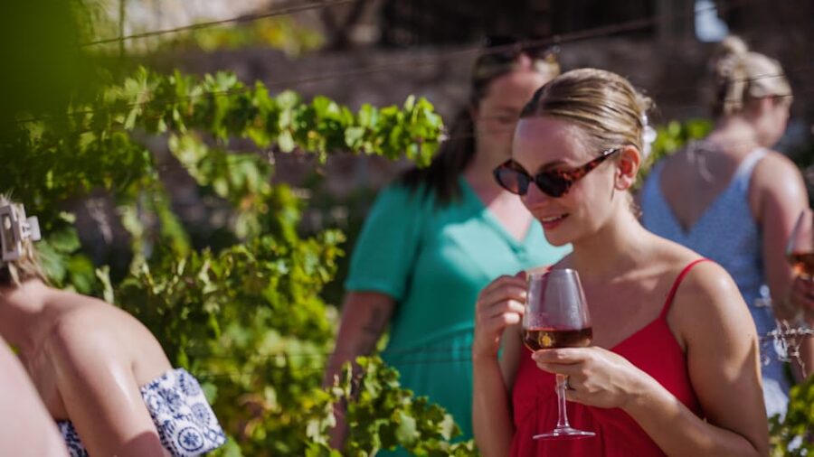 Malaga: Organic Vineyard Tour with 6 Wines, Tapas & Transfer - A small organic vineyard with wide views