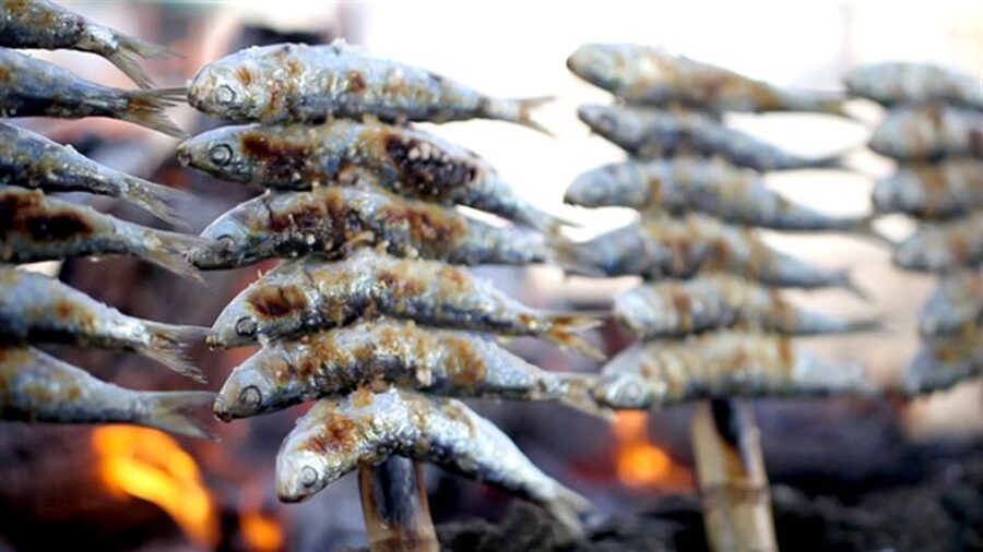 Malaga: PREMIUM TAPAS TOUR Paella, Tapas, Winery & Flamenco - Who should book this Malaga evening?