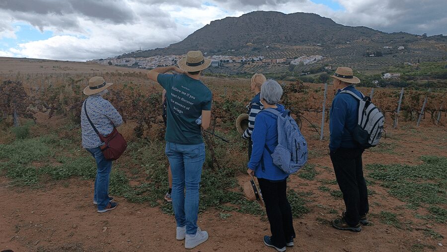 Malaga: White Village, Vineyard, and Wine Tasting Wine Tour - Who will enjoy this tour most?