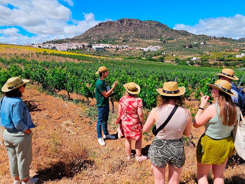 Malaga: White Village, Vineyard, and Wine Tasting Wine Tour - Walking through Álora’s whitewashed center