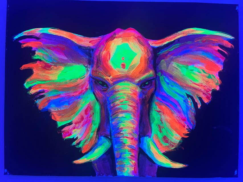 Málaga: Wine Gogh Glow Academy Paint and Sip Class - The freedom to paint your own idea