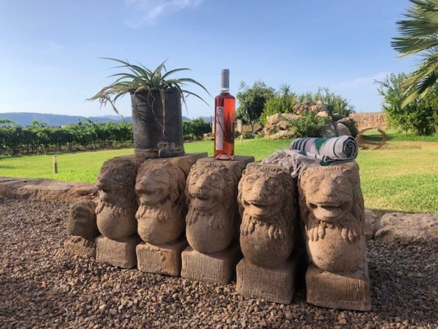 Mallorca: Bodega Butxet Vineyards & Winery Tour with Tasting - Walking through the vineyards
