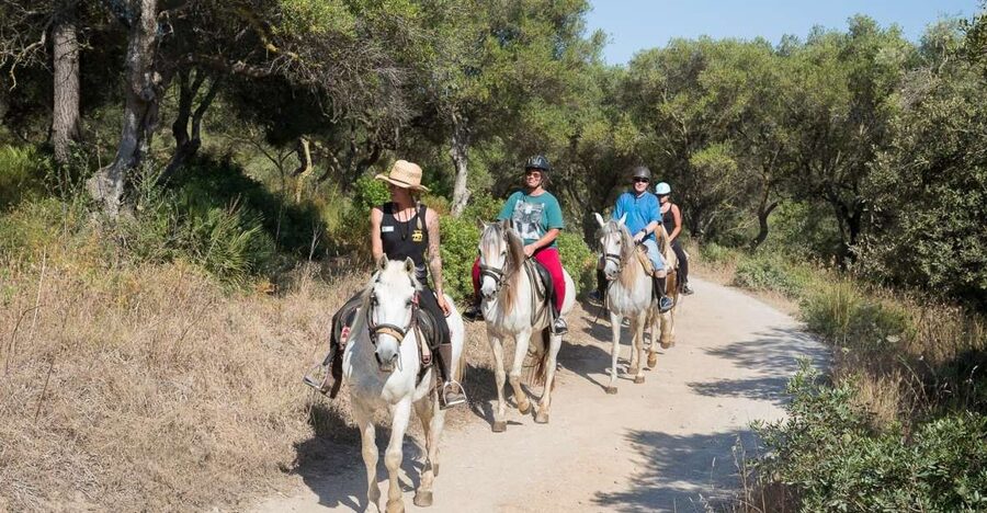Mallorca: Horseback Riding Excursion and Wine Tasting - Why this Alcudia outing works so well