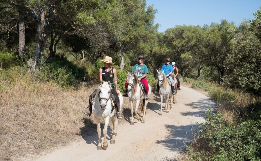 Mallorca: Horseback Riding Excursion and Wine Tasting - What the one-hour horseback ride is like