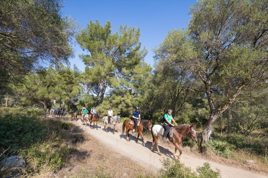 Mallorca: Horseback Riding Excursion and Wine Tasting - The wine and cheese tasting at the ranch