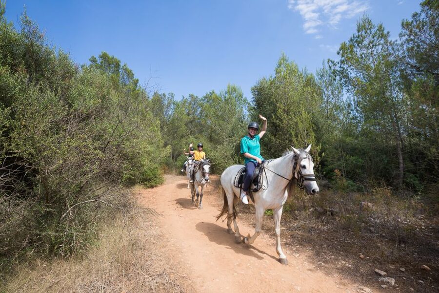 Mallorca: Horseback Riding Excursion and Wine Tasting - The best parts, and the limits