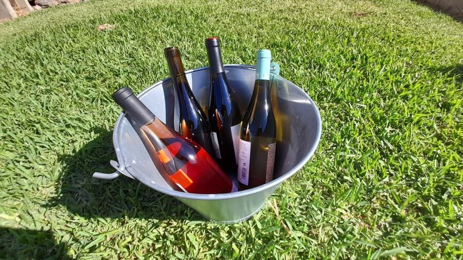 Mallorca: Local Wines & Foods Tasting - A friendly hour, not a formal wine course