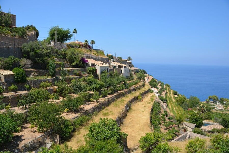 Mallorca: Premium Wine Experience, Tasting and Fine Foods - Key Points at a Glance