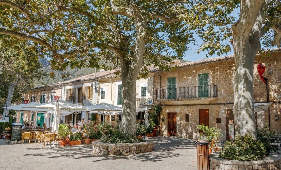 Mallorca: Premium Wine Experience, Tasting and Fine Foods - From Vine to Bottle