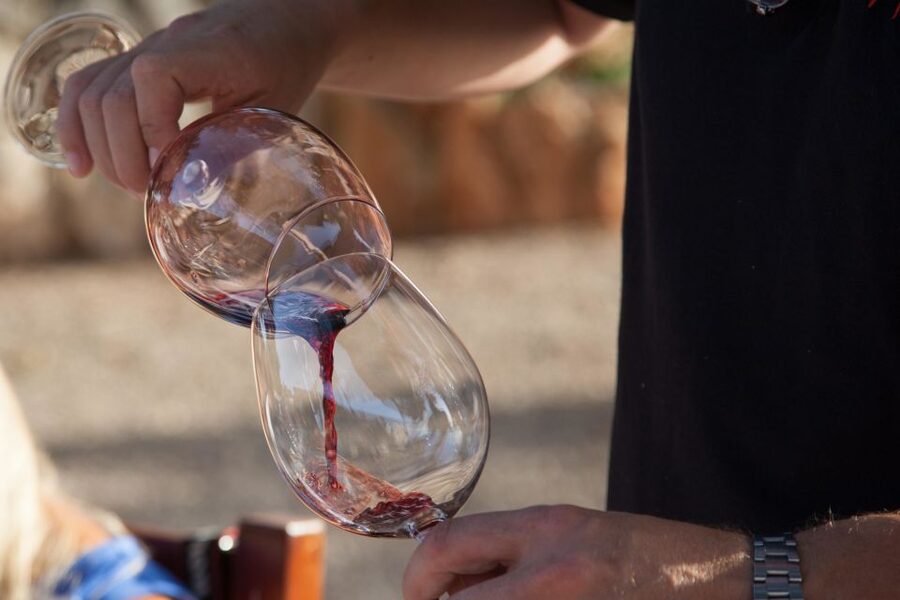 Mallorca: Private Wine Tour with Tasting and Picnic - Leaving the Coast for Mallorca’s Wine Country
