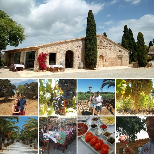 Mallorca: Private Wine Tour with Tasting and Picnic - Learning From the Winemaker