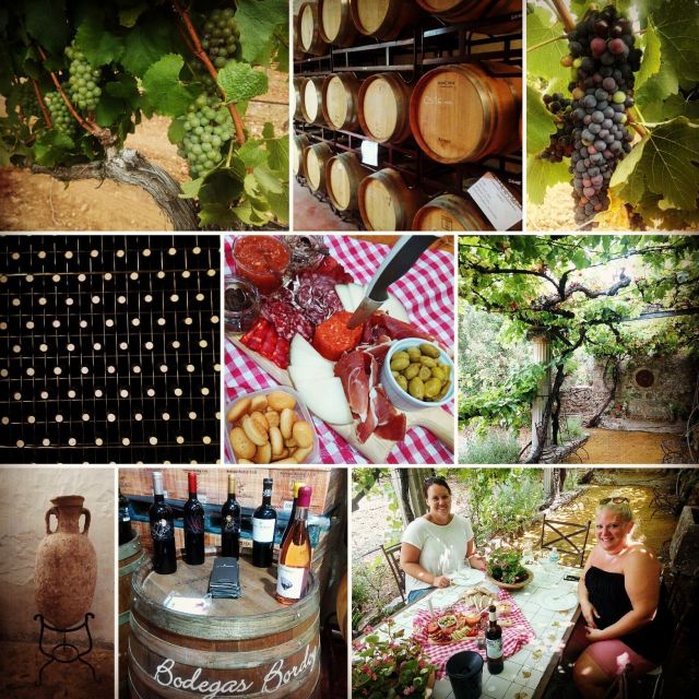 Mallorca: Private Wine Tour with Tasting and Picnic - Who Should Book This Experience?
