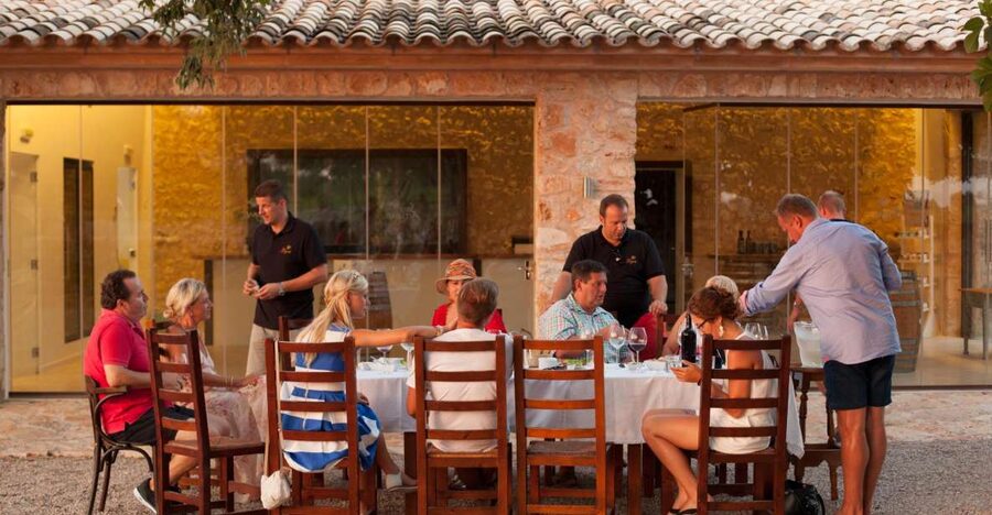 Mallorca: Private Wine Tour with Tasting and Picnic - Final Verdict: A Warm, Personal Wine Day