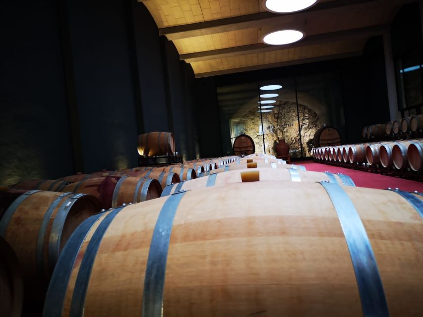 Mallorcas Emblematic Wineries Small Group Tour, two wineries - Why Mallorca is worth tasting through its vineyards
