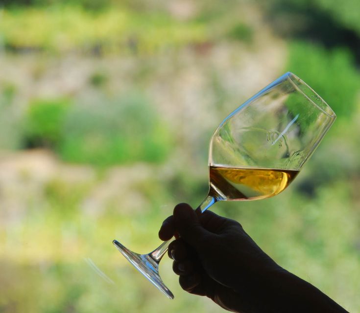 Manarola: Cinque Terre Wine Tasting - The opening pour: Cinque Terre white wine DOC