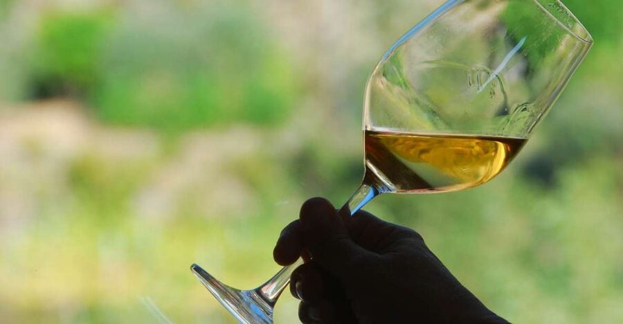 Manarola: Cinque Terre Wine Tasting - The second glass: a local red with food
