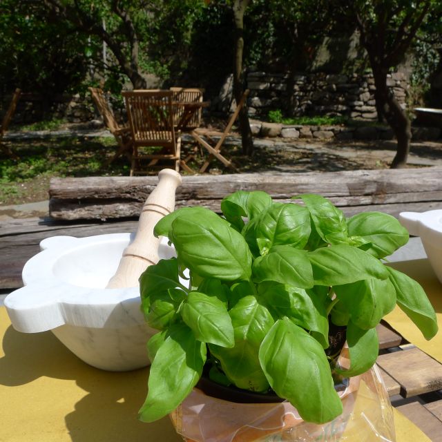 Manarola: Pesto Making Class with Tasting and Wine - Key points to know before booking