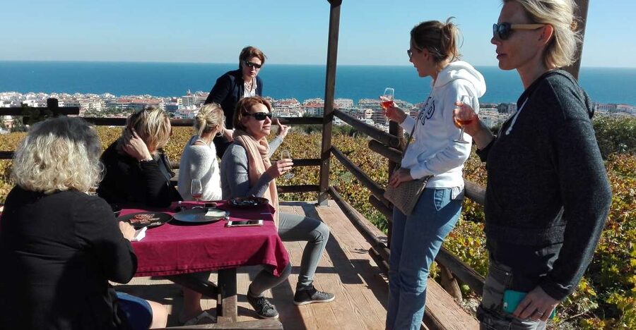 Manilva: Nilva Vineyard, Wine Tasting & Tapas Guided Tour - Key points to know before you go
