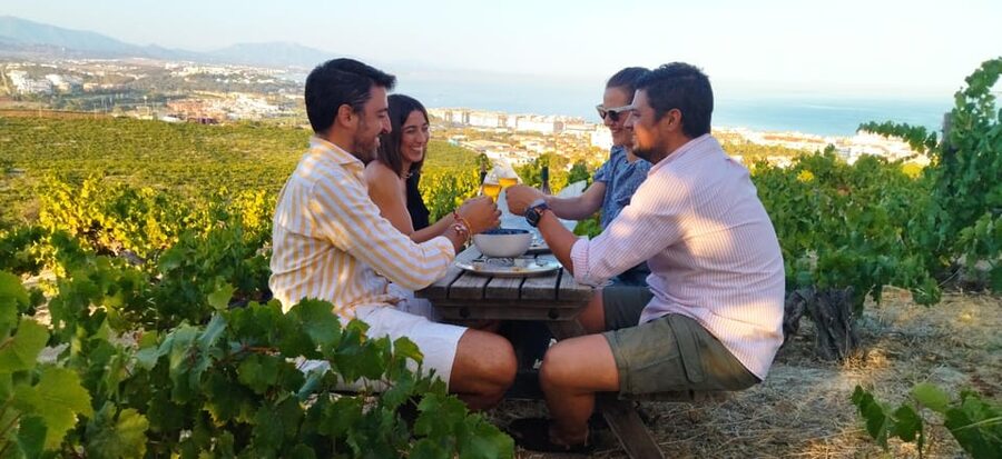 Manilva: Nilva Vineyard, Wine Tasting & Tapas Guided Tour - Why Manilva’s old vines matter