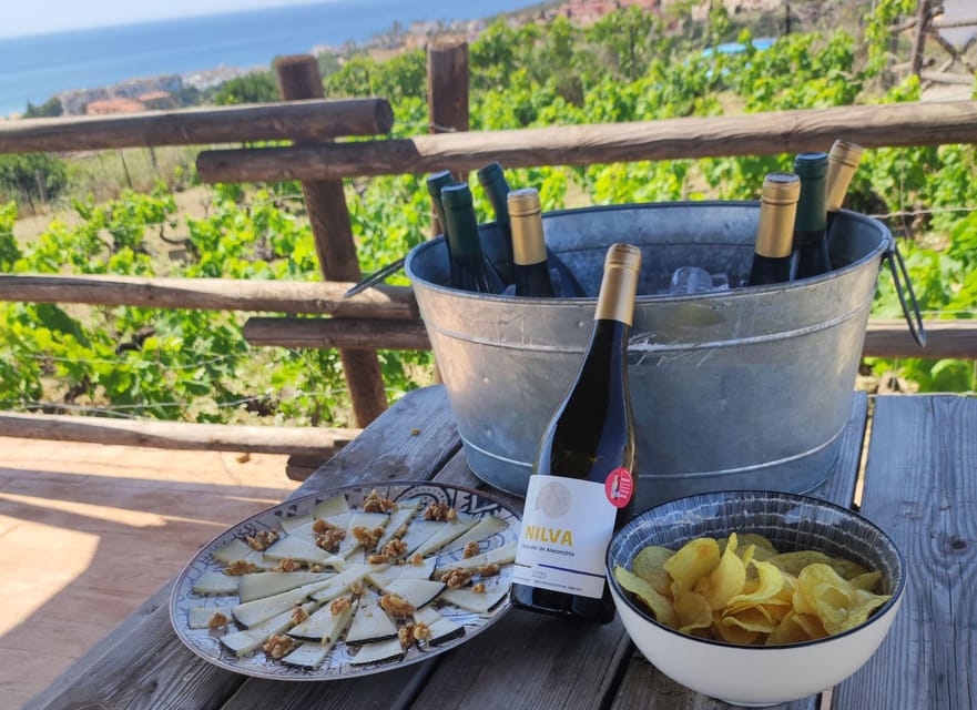 Manilva: Nilva Vineyard, Wine Tasting & Tapas Guided Tour - Is $35 a good value?