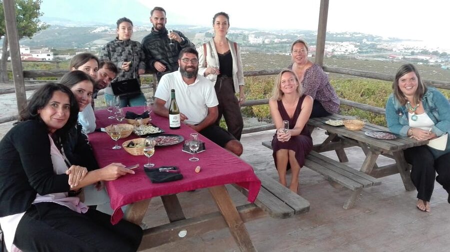 Manilva: Nilva Vineyard, Wine Tasting & Tapas Guided Tour - Who will enjoy this Manilva tour?