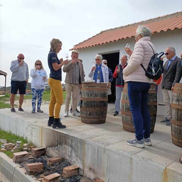 Manilva: Nilva Vineyard, Wine Tasting & Tapas Guided Tour - Practical advice for a smoother visit