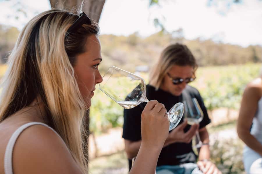 Margaret River: Boutique Wine Tour w. Blind Tasting + Lunch - Is $127 good value?