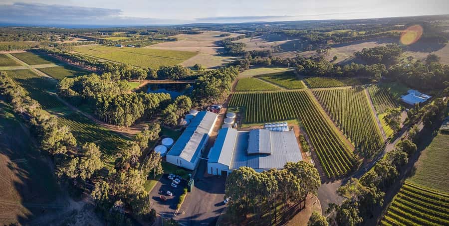 Margaret River: Full-Day Wine Tour - McHenry Hohnen shows a thoughtful side of wine production