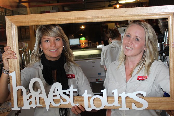 Margaret River Small-Group Full-Day Wine & Food Tour - McHenry Hohnen and the boutique cellar-door feel