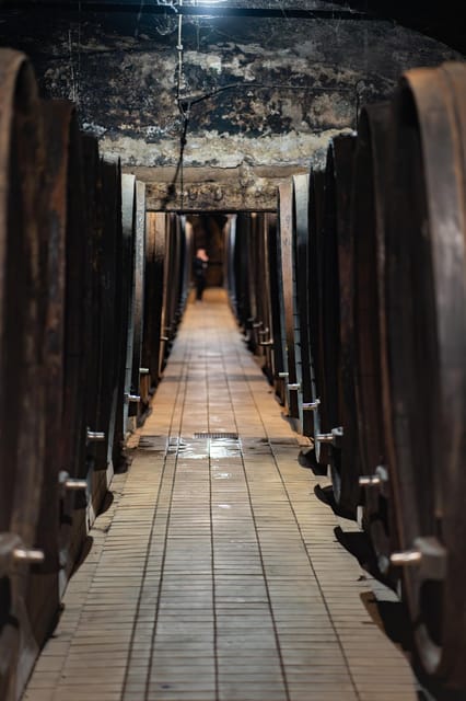 Maribor: Vinag Wine Cellar Tour with Wine tasting and snacks - Key points to know before you go