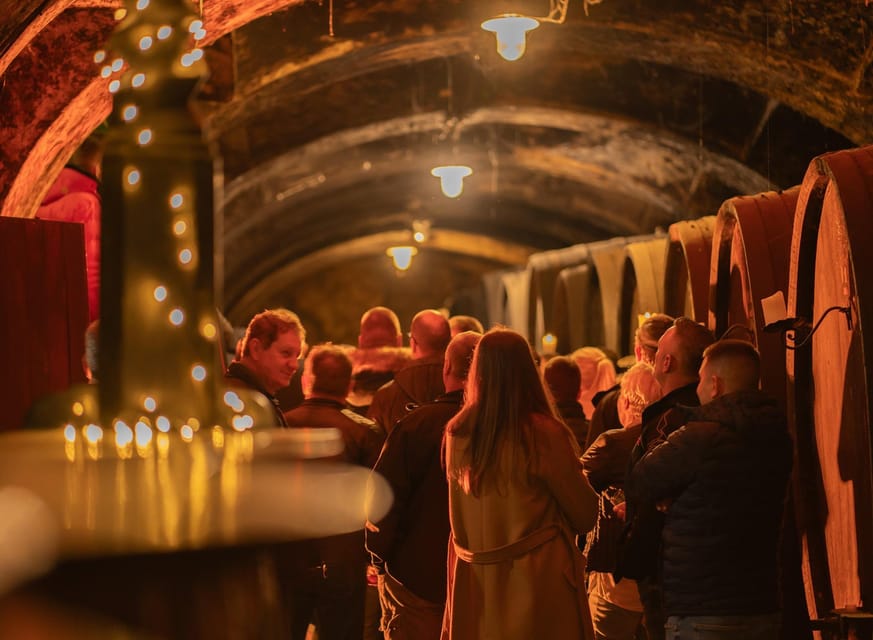 Maribor: Vinag Wine Cellar Tour with Wine tasting and snacks - Descending into the 2.2-kilometer cellar