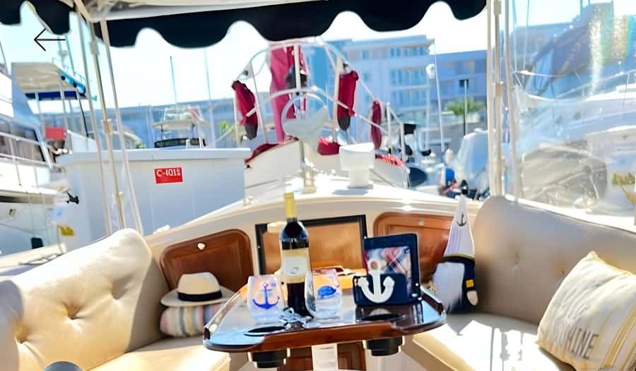 Marina Del Rey Luxury Boat Cruise Wine, Charcuterie Sealions - Key details before you book
