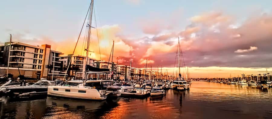 Marina Del Rey Luxury Boat Cruise Wine, Charcuterie Sealions - Booking, cancellation, and practical planning
