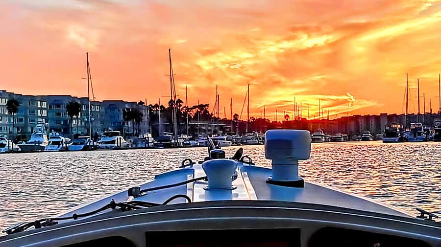 Marina Del Rey Luxury Boat Cruise Wine, Charcuterie Sealions - A small boat with a personal feel