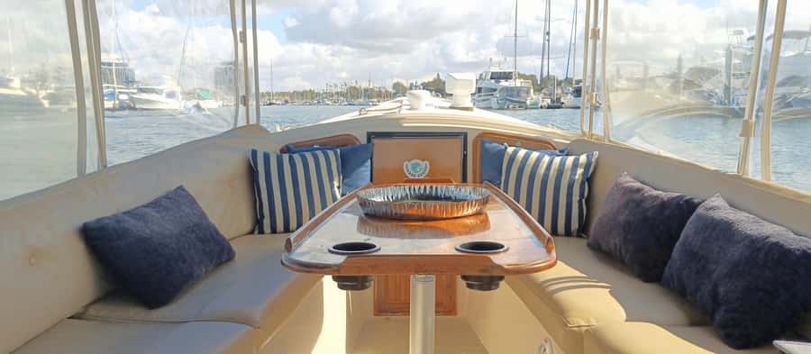Marina Del Rey Luxury Boat Cruise Wine, Charcuterie Sealions - Sea lions, birds, and the wildlife watch