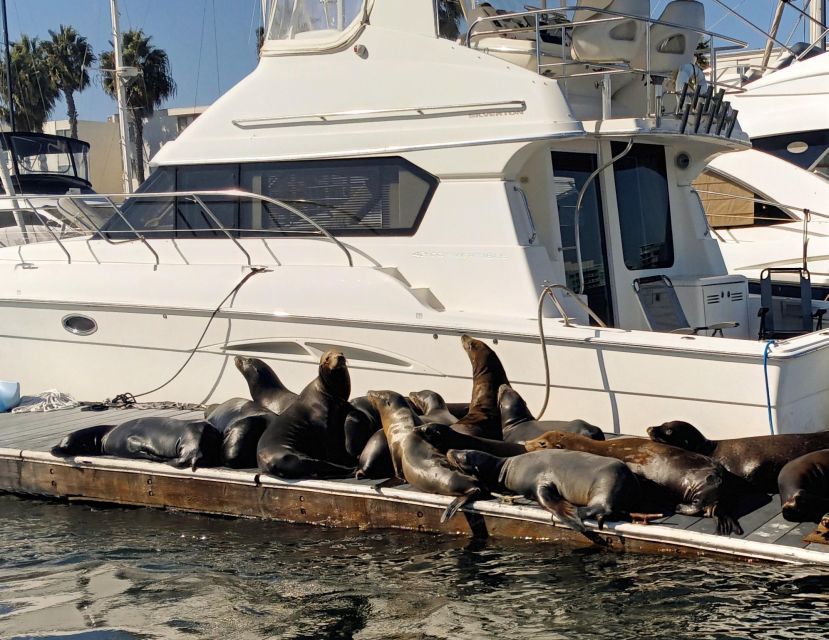 Marina Del Rey Luxury Boat Cruise Wine, Charcuterie Sealions - What the $149 price really buys