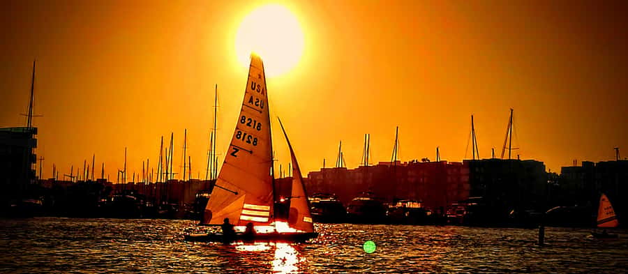 Marina Del Rey Luxury Boat Cruise Wine, Charcuterie Sealions - Who will enjoy this most