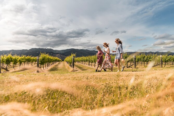 Marlborough Afternoon Wine Tour with Tastings - The wine styles you are likely to compare