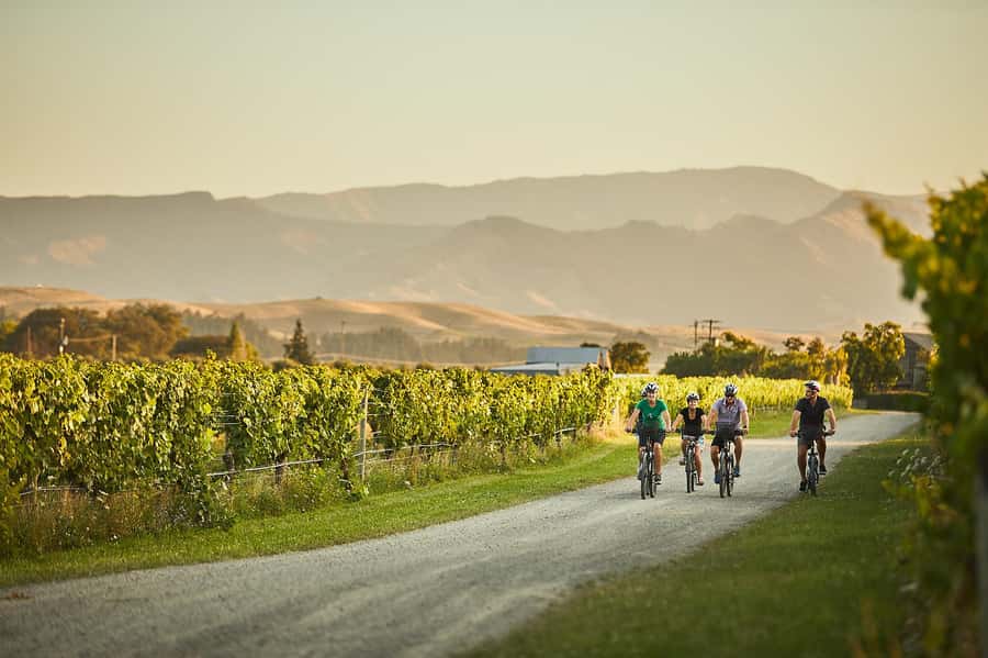 Marlborough: Full-Day Self-Guided Biking Wine Tour - Key points before you book