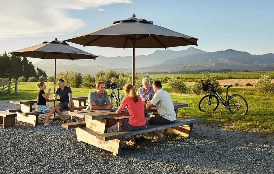 Marlborough: Full-Day Self-Guided Biking Wine Tour - Starting near Renwick with a bike, map, and plan
