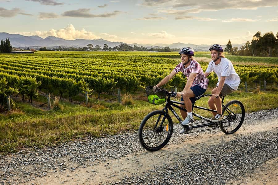 Marlborough: Full-Day Self-Guided Biking Wine Tour - The riding is easy, but the day can become long