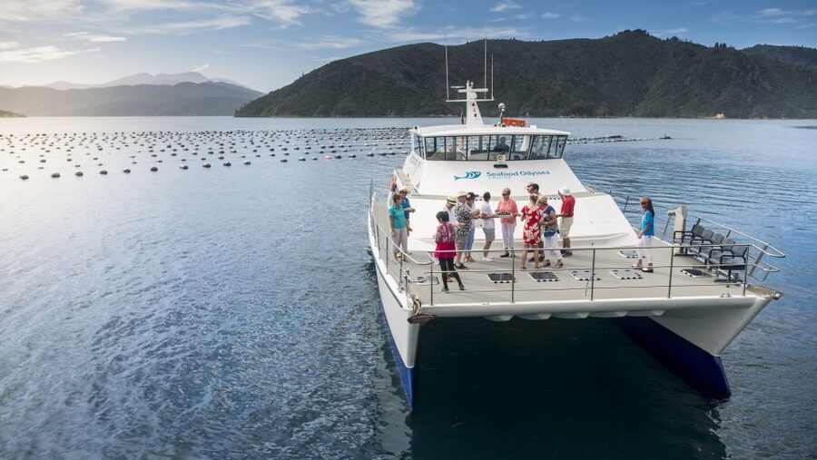 Marlborough: Full-Day Wine and Seafood Tour with Cruise - The Seafood Odyssea Cruise through Queen Charlotte Sound